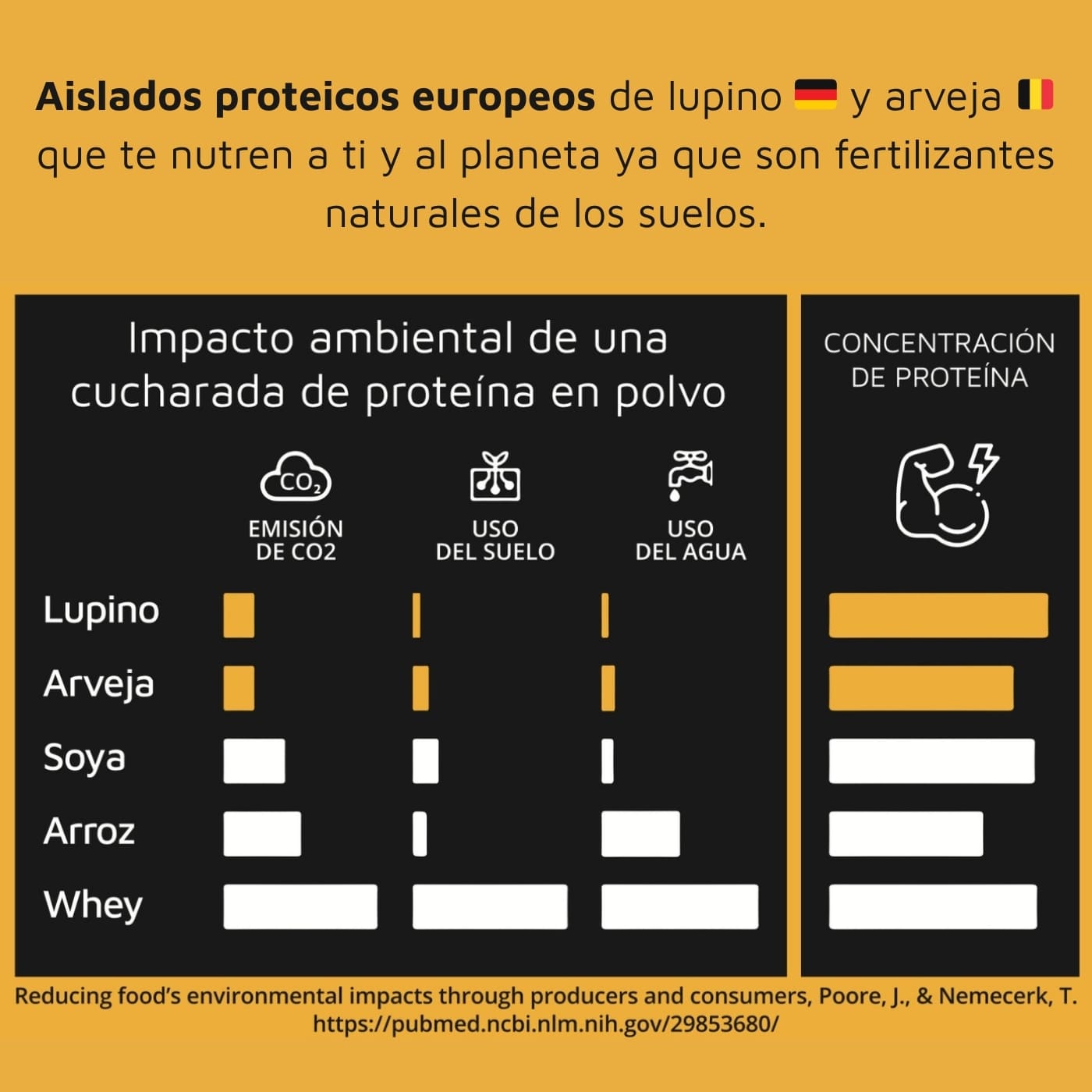 Comparativa de impacto ambiental entre proteína de lupino, arveja, soya, arroz y whey mostrando menor emisión de CO2, menor uso de suelo y agua en lupino y arveja. Sabor Cacao y Plátano.