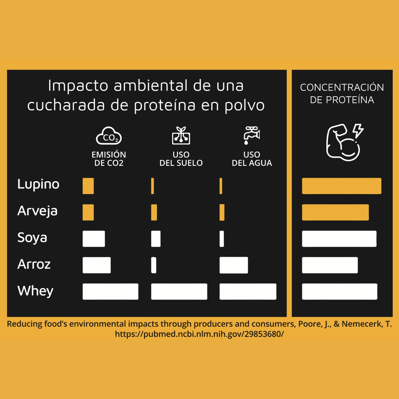 Proteína Vegana Aislada de Lupino y Arveja | Certificada y Sin Hinchazón - 1 kg